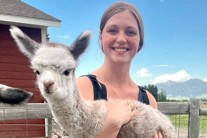 Alpaca and Llama Farm Tour - The farm’s dogs, horses, chickens, and cat