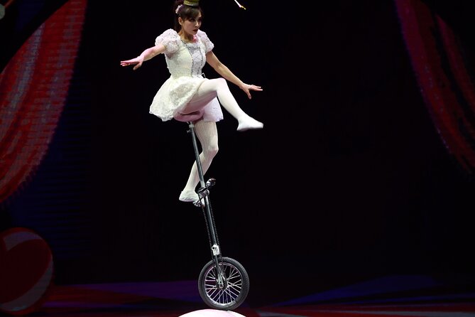 Amazing Acrobats: Grand Shanghai Circus Show in Branson - What the Grand Shanghai Circus actually offers