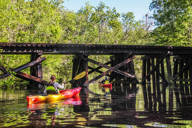 Amelia Island Guided Kayak Tour of Lofton Creek - Why Lofton Creek feels different from a standard kayak outing