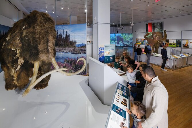 American Museum of Natural History Admission Ticket - Why This Museum Deserves a Half Day in New York