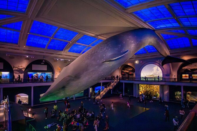 American Museum of Natural History Admission Ticket - The Blue Whale and the Akeley Mammals