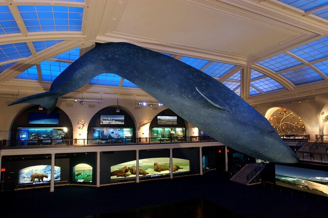 American Museum of Natural History Admission Ticket - Is $37 Good Value?