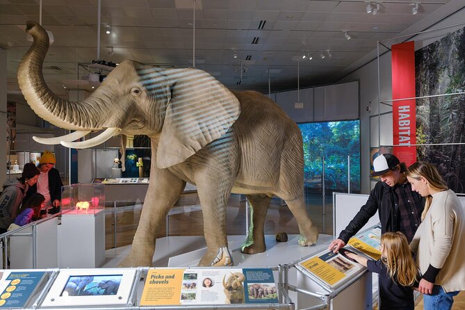 American Museum of Natural History Admission Ticket - Food, Strollers, and Access