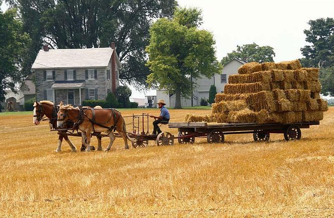 Amish Experience SuperSaver Package - Key points to know before you book