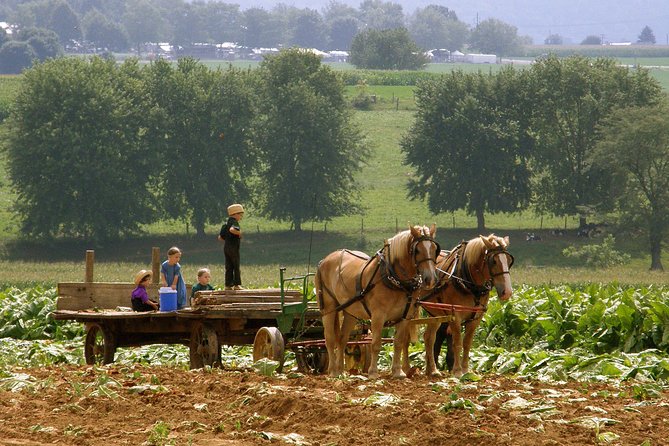 Amish Experience SuperSaver Package - Why this package works well in Lancaster