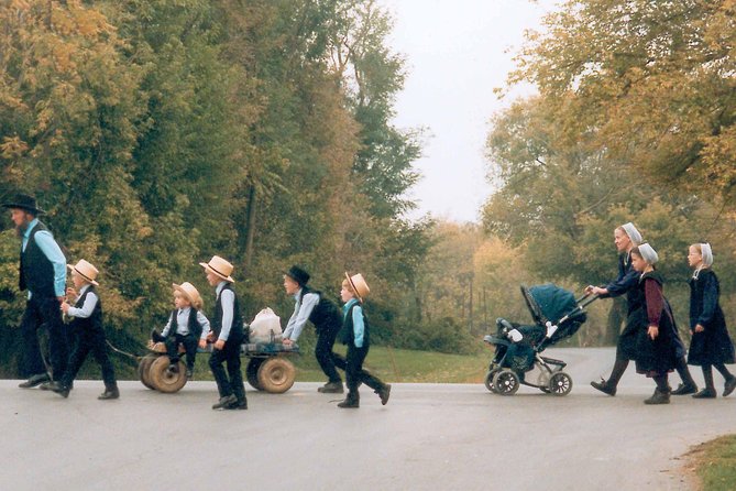 Amish Experience SuperSaver Package - The 14-passenger ride through Amish farmland