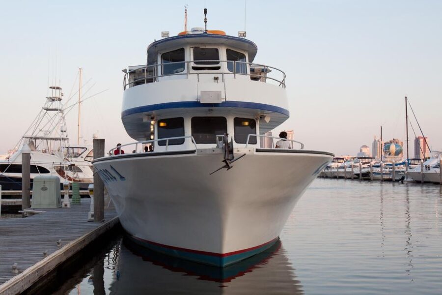 Atlantic City: Dolphin Watching Ocean Cruise Adventure - When no dolphins appear