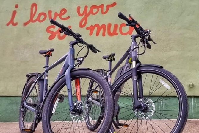 Austin Electric Bike Tour: Let it Ride - Stevie Ray Vaughan and Bouldin Creek