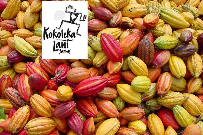 Award Winning Farm Tour: Coffee, Chocolate and Unique Gifts - The Soap Workshop Is the Unexpected Extra