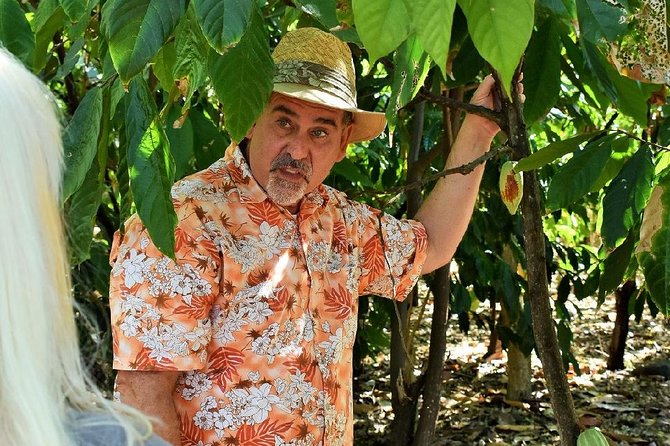 Award Winning Farm Tour: Coffee, Chocolate and Unique Gifts - Cacao and Chocolate From Crop to Sample