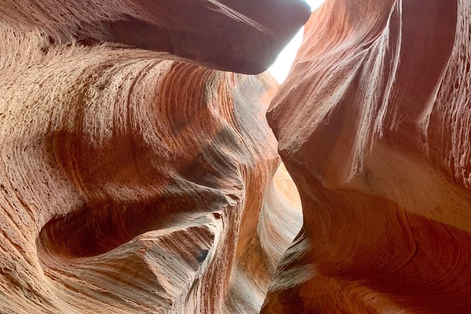 Award Winning UTV Slot Canyon Tour - Who will enjoy it most?