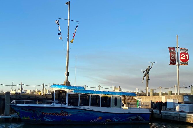 Baywatch Dolphin Tours – Pier 21 Galveston - Who should book this dolphin tour