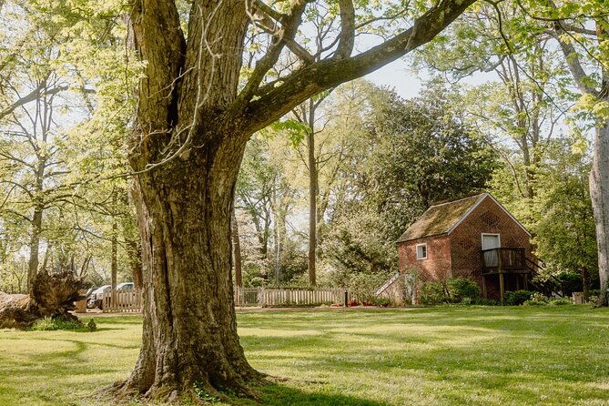 Belle Meade Guided Mansion Tour with Complimentary Wine Tasting - Wine Tasting After the Tour