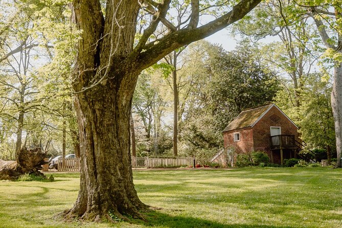 Belle Meade Guided Mansion Tour with Complimentary Wine Tasting - The 1853 Greek Revival Mansion Tour
