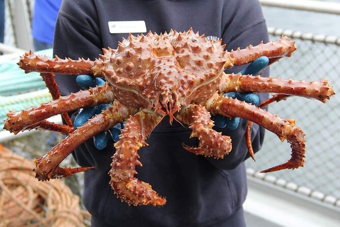 Bering Sea Crab Fisherman's Tour from Ketchikan - Long-line pots, bait, and heavy crab gear