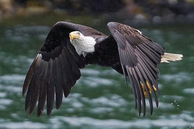 Bering Sea Crab Fisherman's Tour from Ketchikan - Cruise ship timing and getting to Berth 3509