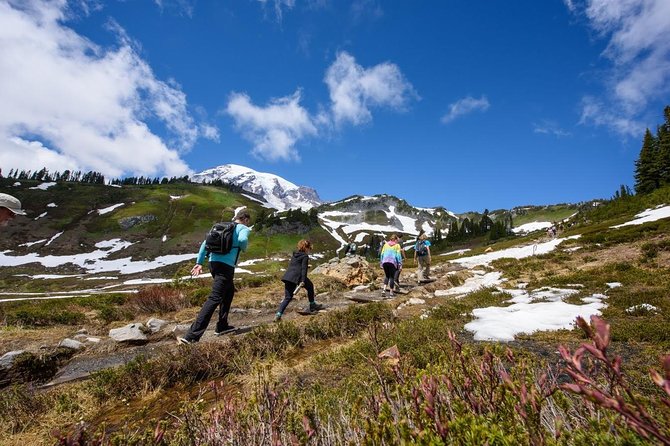 Best of Mount Rainier National Park from Seattle: All-Inclusive Small-Group Tour - Longmire, forests, and the first waterfalls