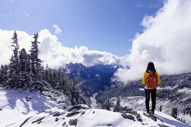 Best of Mount Rainier National Park from Seattle: All-Inclusive Small-Group Tour - Weather, road closures, and realistic expectations