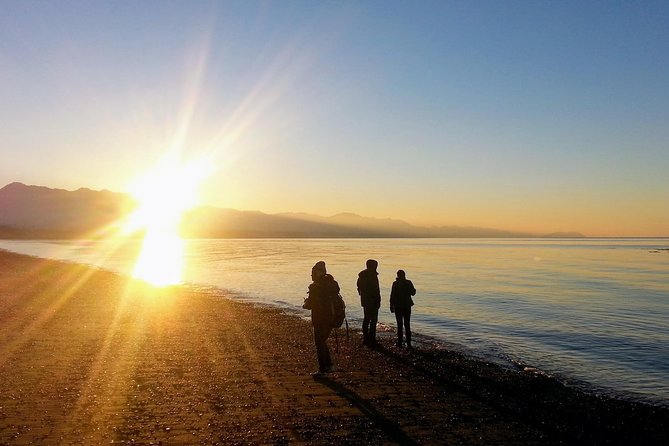 Best of Olympic National Park from Seattle: All-Inclusive Small-Group Day Tour - The ferry crossing starts the sightseeing early