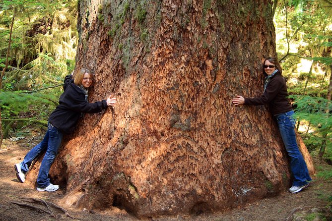 Best of Olympic National Park from Seattle: All-Inclusive Small-Group Day Tour - Elwha Valley shows nature in recovery
