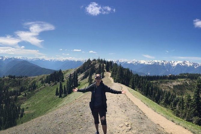 Best of Olympic National Park from Seattle: All-Inclusive Small-Group Day Tour - Hurricane Ridge is the high point, when the road is open