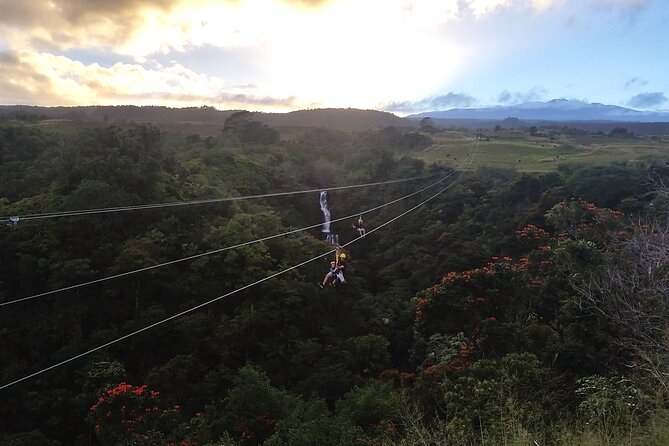 Big Island: 8-Zipline & Suspension Bridge Waterfall Adventure - Eight ziplines through a Big Island rainforest