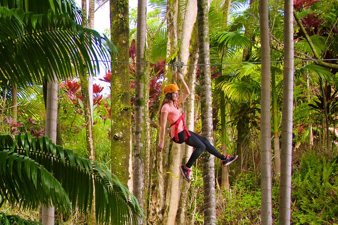 Big Island: 8-Zipline & Suspension Bridge Waterfall Adventure - Guides, safety, and the first-timer experience