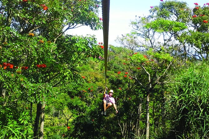 Big Island: 8-Zipline & Suspension Bridge Waterfall Adventure - The course gets faster as your confidence grows