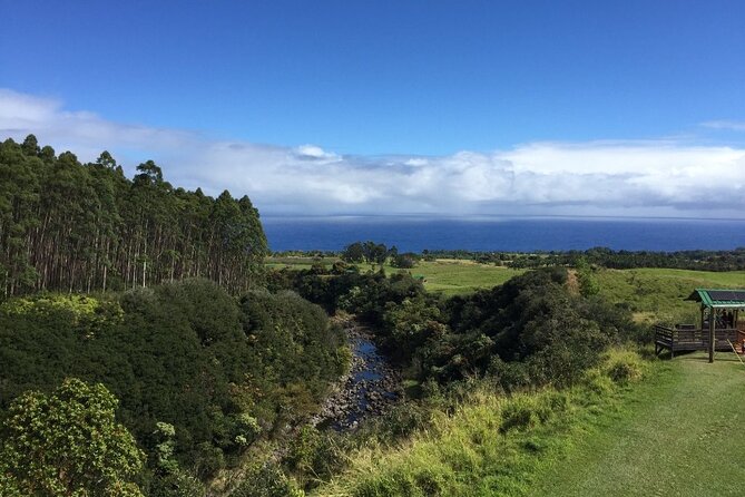 Big Island: 9-Line Waterfall Zipline Experience - How the guides shape the experience