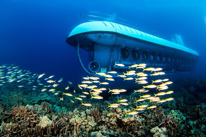 Big Island: Atlantis Submarine from Kona Beach - Kona’s Other 96 Percent Begins at the Harbor