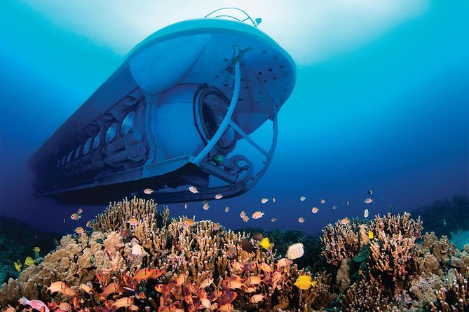 Big Island: Atlantis Submarine from Kona Beach - Two Shipwrecks That Serve as Fish Habitat