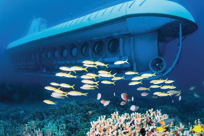 Big Island: Atlantis Submarine from Kona Beach - Is $160.41 a Fair Price?