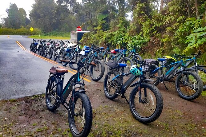 Big Island: Fat Tire E-Bike Tour through Volcanoes National Park - Who should book this Volcanoes National Park ride?