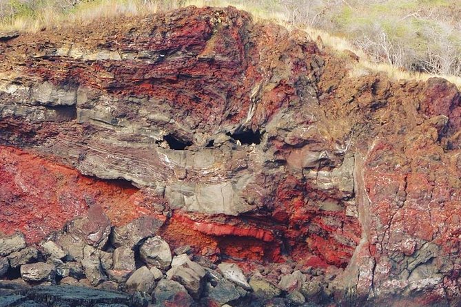 Big Island Historical Dinner Cruise to Kealakekua Bay - Sunset and wildlife: wonderful extras, not guarantees