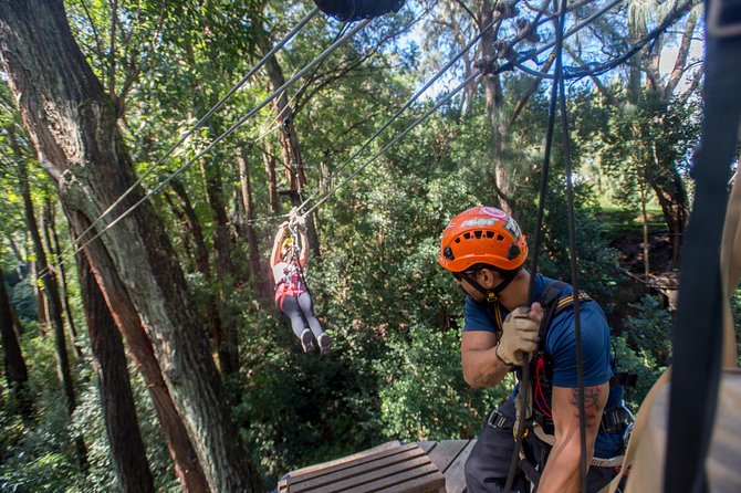 Big Island Kohala Canopy Zipline Adventure - The bridges are a real part of the adventure