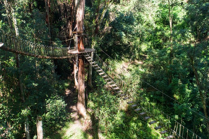 Big Island Kohala Canopy Zipline Adventure - The Kohala setting adds real value