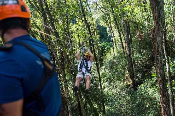 Big Island Kohala Canopy Zipline Adventure - What the three-hour route feels like