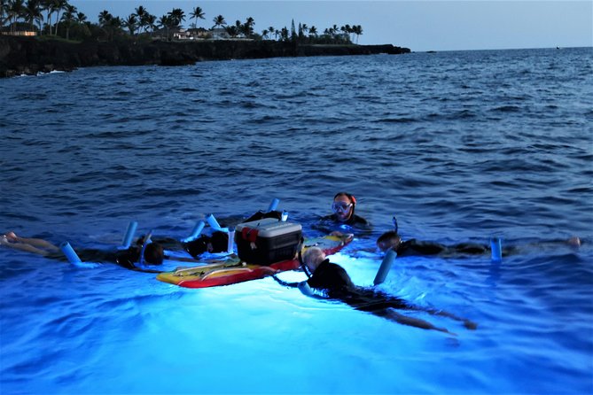Big Island: Kona Manta Ray Snorkel Tour in Keauhou Harbor - Timing is the biggest thing to think about