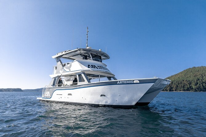 Big Island: Pelagic Whale Watch Tour - Why Kona is a strong place for whale watching