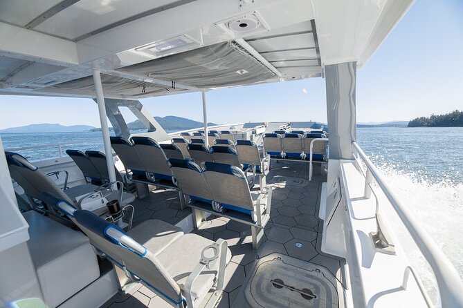 Big Island: Pelagic Whale Watch Tour - What the wildlife sightings can really look like