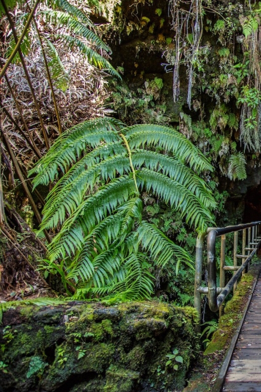 Big Island: Volcanoes, Waterfalls, & Coffee Farm Day-Trip - Hawaii Volcanoes National Park is the day’s main event
