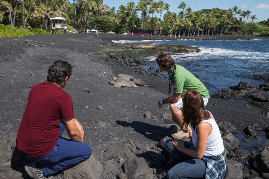 Big Island: Volcanoes, Waterfalls, & Coffee Farm Day-Trip - Bay View Farm brings Kona coffee into focus