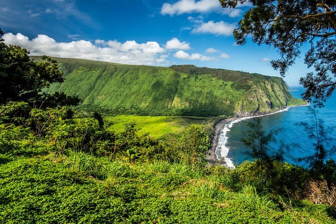 Big Island Waterfalls Tour with Swimming and Botanical Garden - Akaka Falls shows the Hamakua Coast at full power