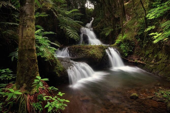Big Island Waterfalls Tour with Swimming and Botanical Garden - The Saddle Road return is part of the experience