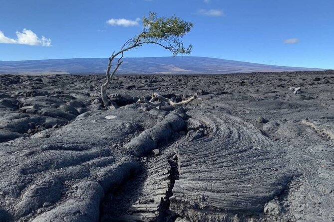 Big Island Waterfalls Tour with Swimming and Botanical Garden - What the $297.82 price covers