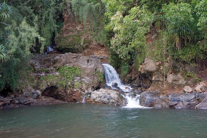 Big Island Zipline Tour Near Akaka Falls (250-ft Waterfall!) - The waterfall crossing is the payoff