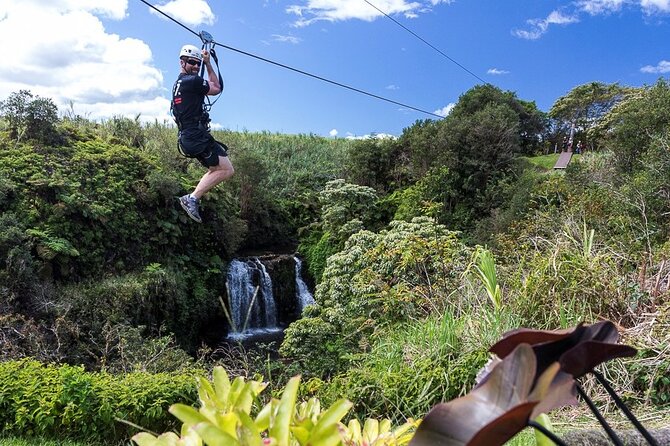 Big Island Zipline Tour Near Akaka Falls (250-ft Waterfall!) - Hawaiian crops, fruit, and stories between rides