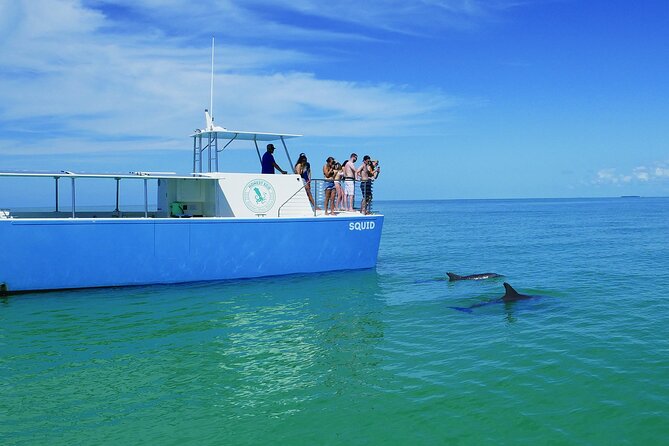Biologist Owned & Operated: Dolphin Watching & Guided Snorkeling - Water conditions can make or break the second half