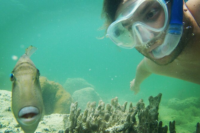 Biologist Owned & Operated: Dolphin Watching & Guided Snorkeling - What the $143.05 price includes