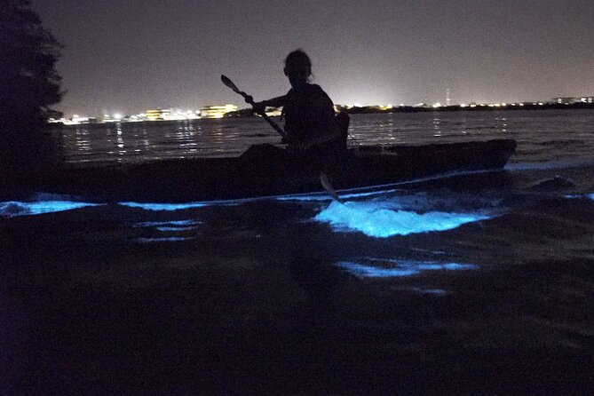 Bioluminescence Kayak Tour - Why the dark water near Cocoa Beach feels so special